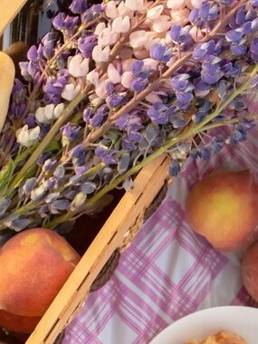 Lavender & Spring Apricot Bundle